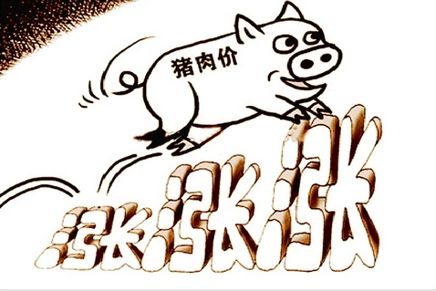 2019年豬氣沖天，價(jià)格還會(huì)一直漲下去嗎？